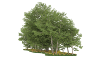 realistico foresta isolato su trasparente sfondo. 3d interpretazione - illustrazione png