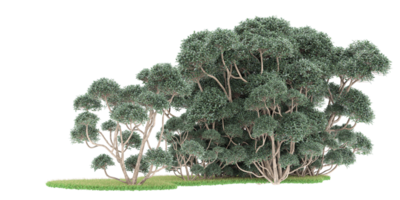 floresta realista isolada em fundo transparente. renderização 3D - ilustração png