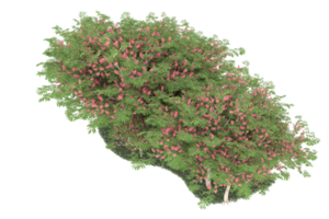 forêt réaliste isolée sur fond transparent. rendu 3d - illustration png