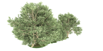 forêt réaliste isolée sur fond transparent. rendu 3d - illustration png