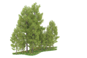 floresta realista isolada em fundo transparente. renderização 3D - ilustração png