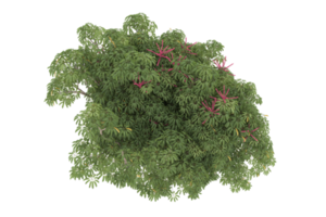 forêt réaliste isolée sur fond transparent. rendu 3d - illustration png