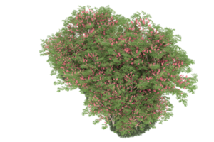 Realistic forest isolated on transparent background. 3d rendering - illustration png