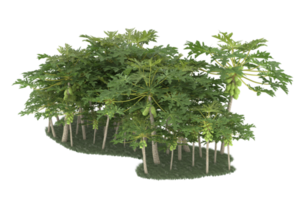 Realistic forest isolated on transparent background. 3d rendering - illustration png