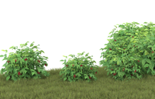 Realistic foliage isolated on transparent background. 3d rendering - illustration png