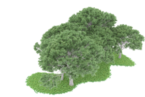 Realistic forest isolated on transparent background. 3d rendering - illustration png