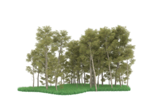 forêt réaliste isolée sur fond transparent. rendu 3d - illustration png