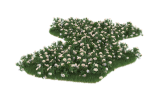 Realistic foliage isolated on transparent background. 3d rendering - illustration png