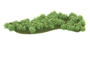 Realistic foliage isolated on transparent background. 3d rendering - illustration png