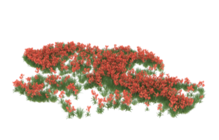 Realistic foliage isolated on transparent background. 3d rendering - illustration png