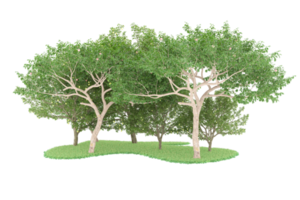 Realistic forest isolated on transparent background. 3d rendering - illustration png
