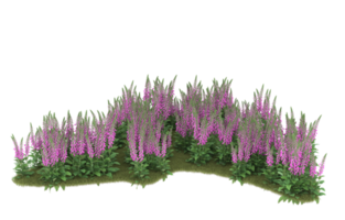 Realistic foliage isolated on transparent background. 3d rendering - illustration png