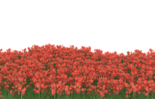 Realistic foliage isolated on transparent background. 3d rendering - illustration png