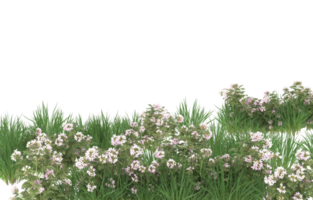 Realistic foliage isolated on transparent background. 3d rendering - illustration png