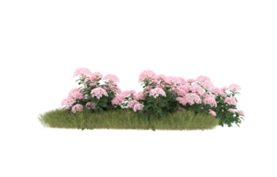 Realistic foliage isolated on transparent background. 3d rendering - illustration png