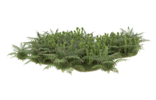 Realistic foliage isolated on transparent background. 3d rendering - illustration png