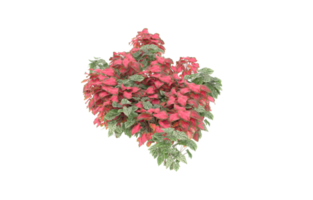 Realistic foliage isolated on transparent background. 3d rendering - illustration png