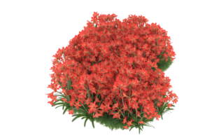Realistic foliage isolated on transparent background. 3d rendering - illustration png