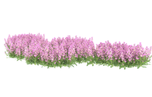 Realistic foliage isolated on transparent background. 3d rendering - illustration png