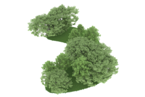 realistisk skog isolerat på transparent bakgrund. 3d tolkning - illustration png