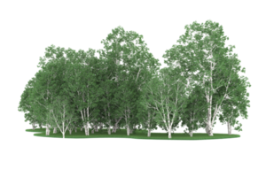 forêt réaliste isolée sur fond transparent. rendu 3d - illustration png