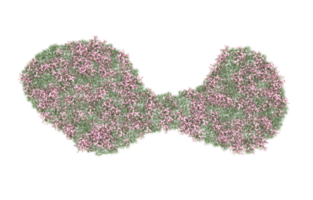 realistico fogliame isolato su trasparente sfondo. 3d interpretazione - illustrazione png