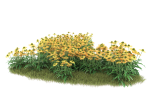 Realistic foliage isolated on transparent background. 3d rendering - illustration png