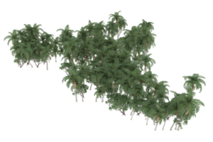 palma alberi isolato su trasparente sfondo. 3d interpretazione - illustrazione png