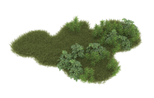 Realistic foliage isolated on transparent background. 3d rendering - illustration png