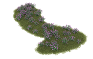 Realistic foliage isolated on transparent background. 3d rendering - illustration png