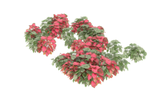 Realistic foliage isolated on transparent background. 3d rendering - illustration png