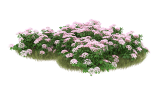 Realistic foliage isolated on transparent background. 3d rendering - illustration png