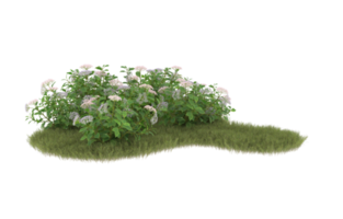 Realistic foliage isolated on transparent background. 3d rendering - illustration png