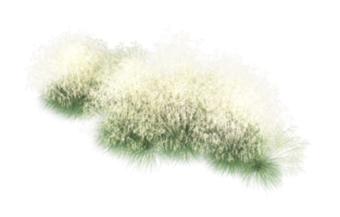 Realistic foliage isolated on transparent background. 3d rendering - illustration png