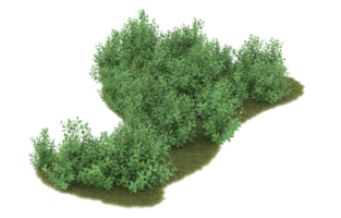 Realistic foliage isolated on transparent background. 3d rendering - illustration png