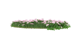 Realistic foliage isolated on transparent background. 3d rendering - illustration png