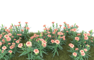 Realistic foliage isolated on transparent background. 3d rendering - illustration png