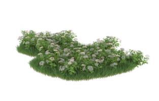 Realistic foliage isolated on transparent background. 3d rendering - illustration png