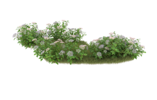 Realistic foliage isolated on transparent background. 3d rendering - illustration png