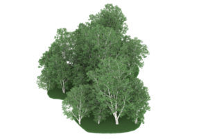 floresta realista isolada em fundo transparente. renderização 3D - ilustração png