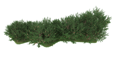 forêt réaliste isolée sur fond transparent. rendu 3d - illustration png