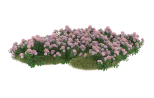 Realistic foliage isolated on transparent background. 3d rendering - illustration png