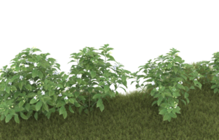 Realistic foliage isolated on transparent background. 3d rendering - illustration png