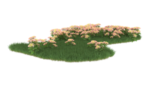 Realistic foliage isolated on transparent background. 3d rendering - illustration png