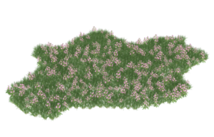 Realistic foliage isolated on transparent background. 3d rendering - illustration png