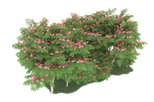Realistic forest isolated on transparent background. 3d rendering - illustration png