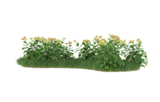 Realistic foliage isolated on transparent background. 3d rendering - illustration png