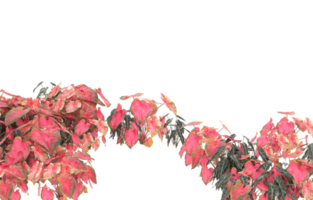 Realistic foliage isolated on transparent background. 3d rendering - illustration png