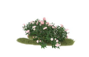 Realistic foliage isolated on transparent background. 3d rendering - illustration png