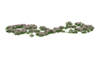 Realistic foliage isolated on transparent background. 3d rendering - illustration png